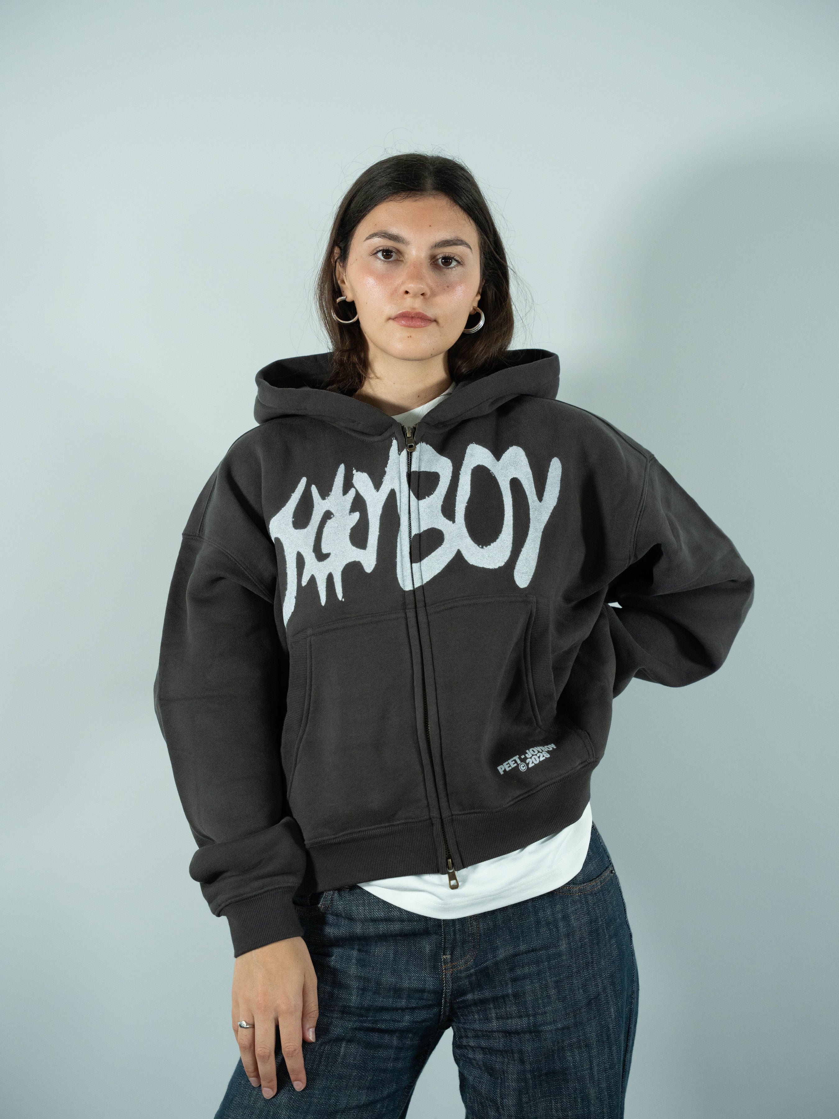 Hoodie Gris Zippé